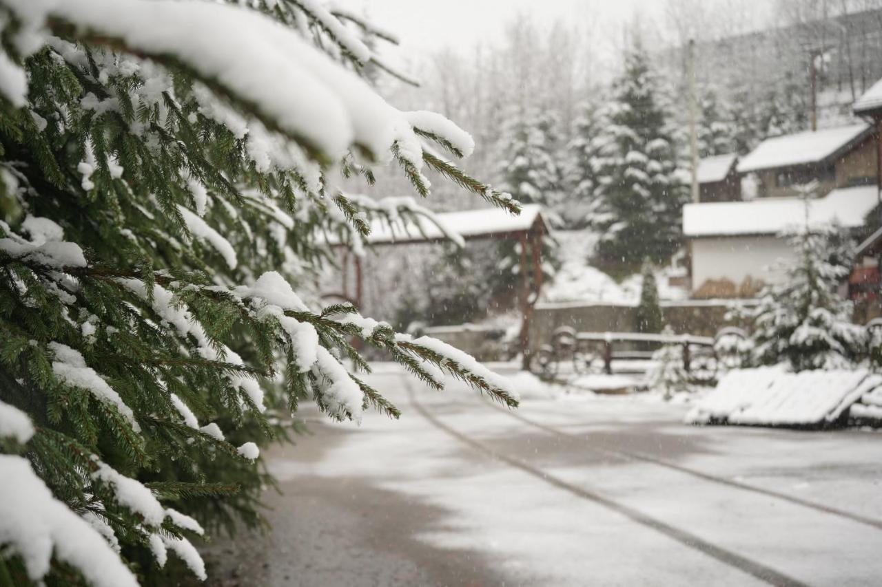 Girskiy Prutets Bukovel Esterno foto