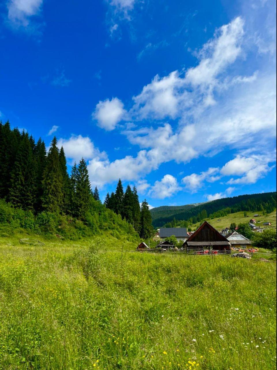 Girskiy Prutets Bukovel Esterno foto
